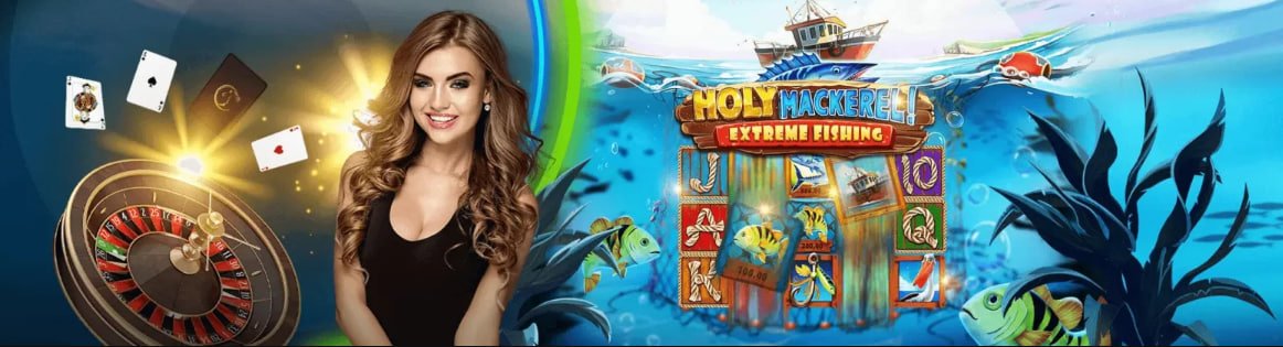 Catatan poin dan privasi akun mobile